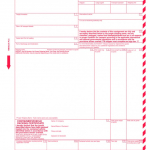 ADR transport on the ferry: Step-by-step completion of the DGN declaration