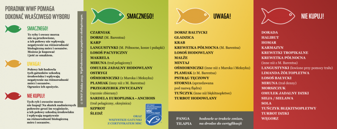 [Na marginesie]: Sprawdź, czy kupujesz ryby zagrożone wyginięciem