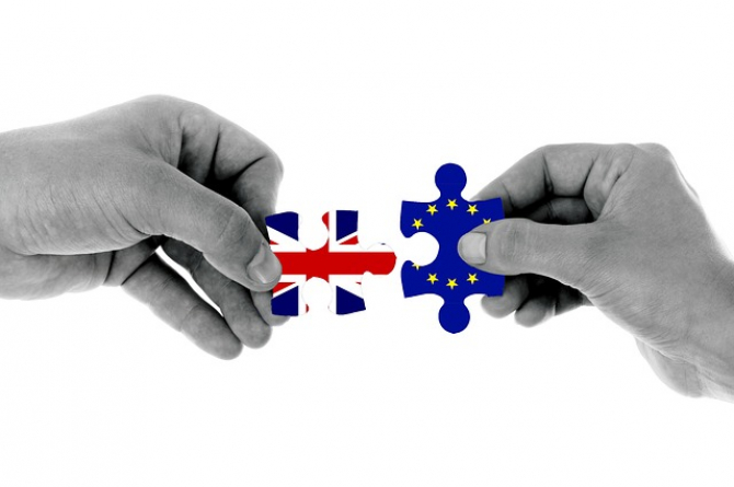 Zmiany w przewozach do GB po 1 stycznia 2022 - GVMS, GMR - poradnik