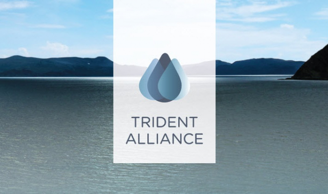 Sojusz Trident Alliance powołuje nową przewodniczącą